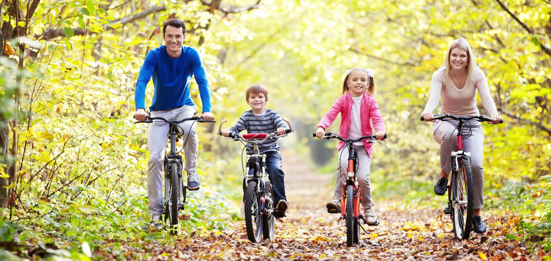Radfahren im Waldviertel rund um Gmünd