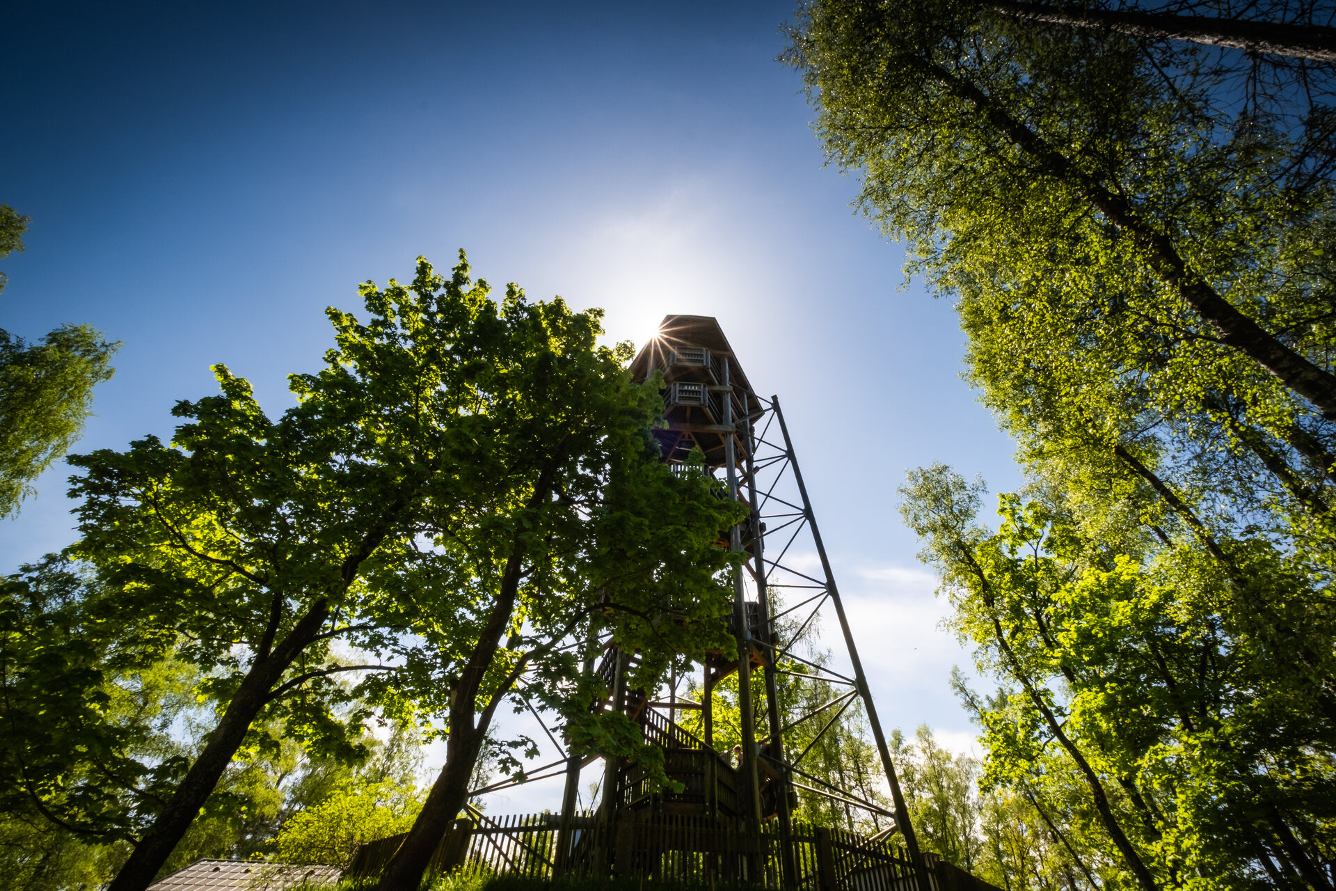 Aussichtsturm im Naturpark Blockheide bei Gmünd