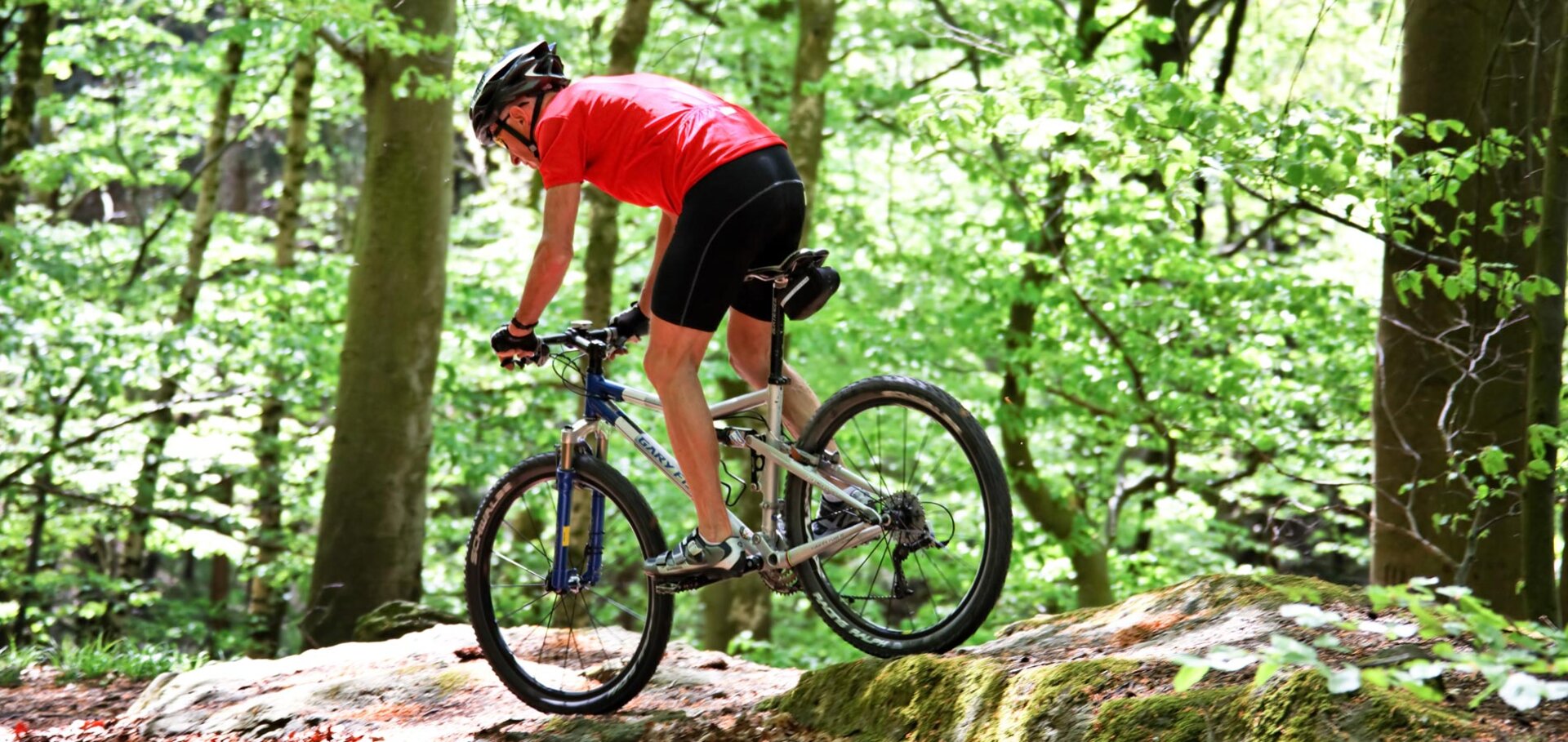 Iron-Curtain-Trail entlang der ehemaligen Grenze im Waldviertel